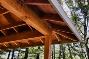 custom-cabin-in-the-forest-framing-your-cabin-in-the-woods