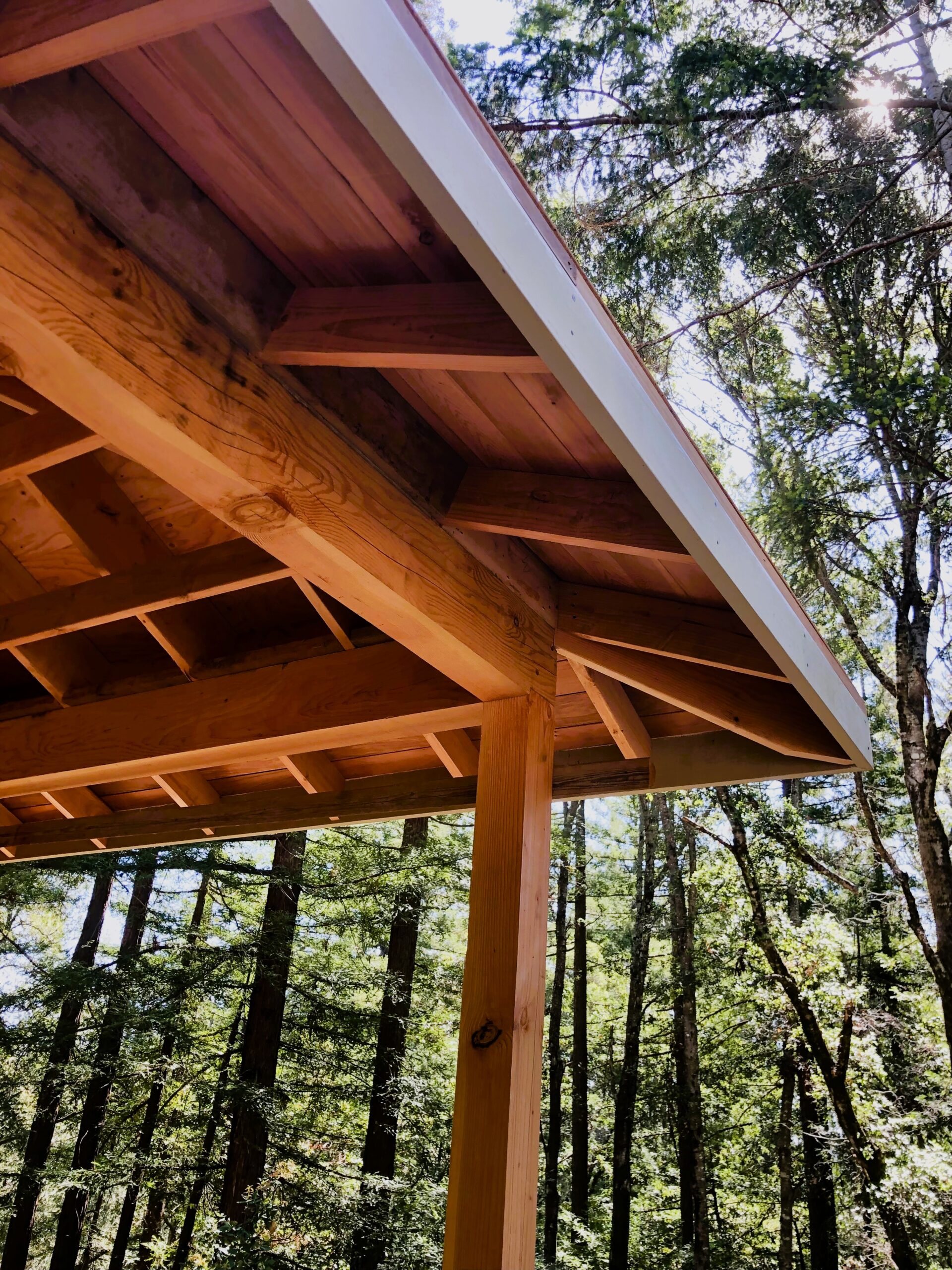 custom-cabin-in-the-forest-framing-your-cabin-in-the-woods